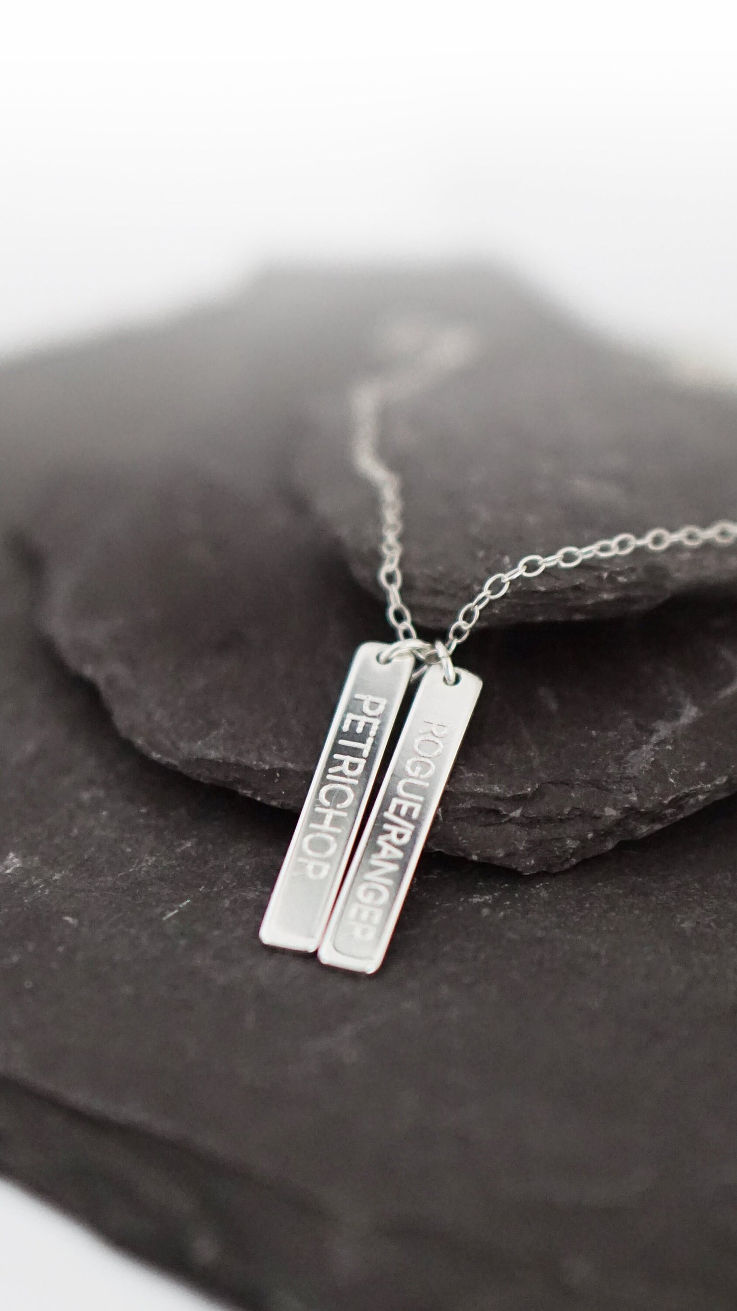 Character Class Sterling Silver Tags Necklace ~ gaming, tabletop, boardgame, dnd, d&d, ttrpg, rogue, wizard, cleric, sorcerer, bard, druid
