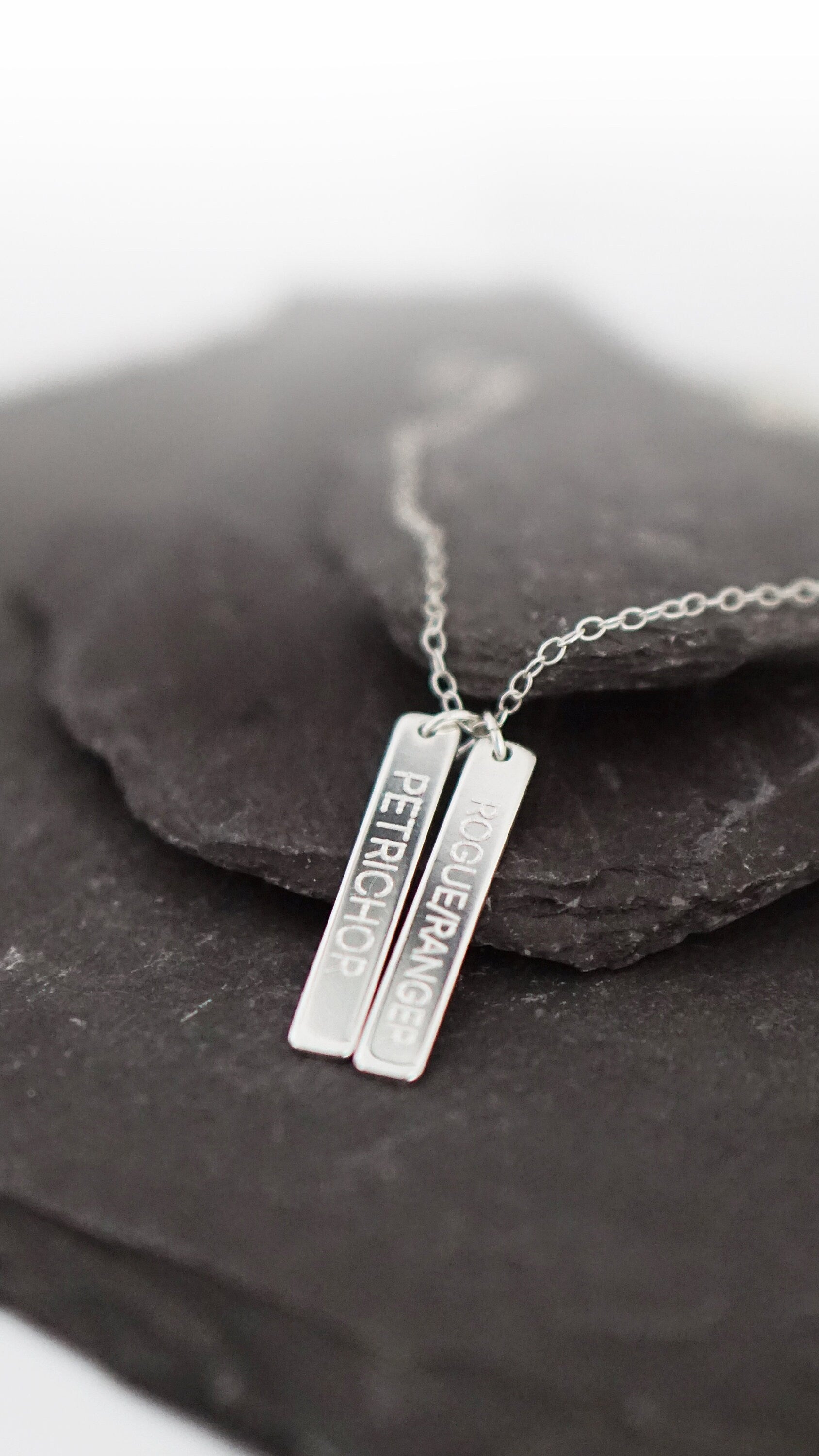Character Class Sterling Silver Tags Necklace ~ gaming, tabletop, boardgame, dnd, d&d, ttrpg, rogue, wizard, cleric, sorcerer, bard, druid